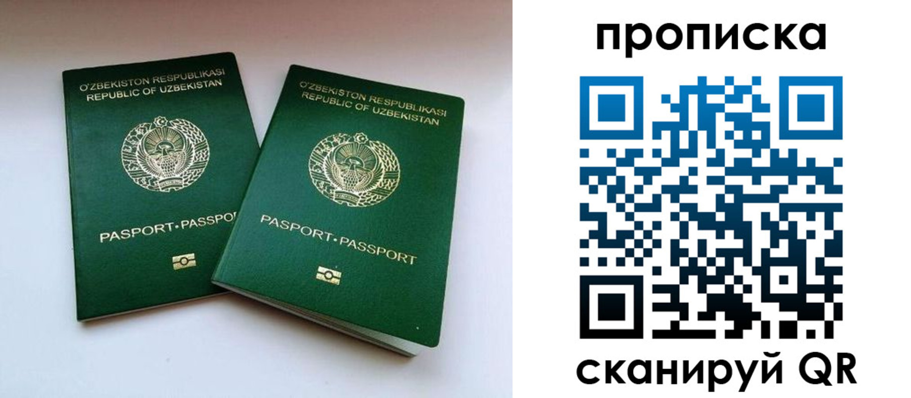 прописка поиск в Арсеньеве